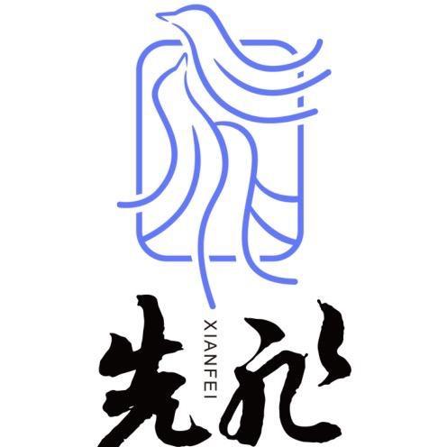 吉林省先飞科技发展有限责任公司