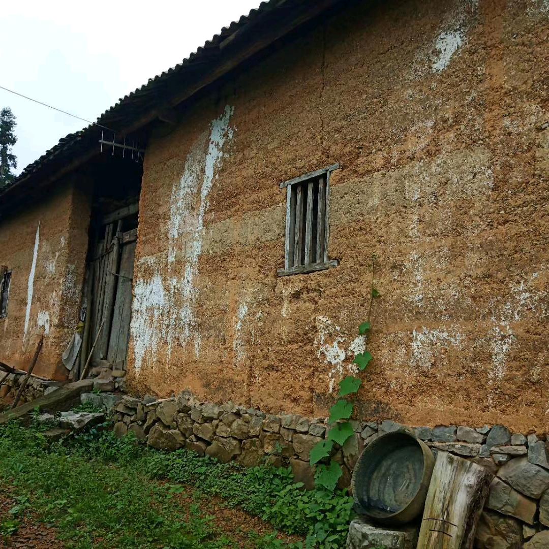 贵州酸辣椒炒饭
