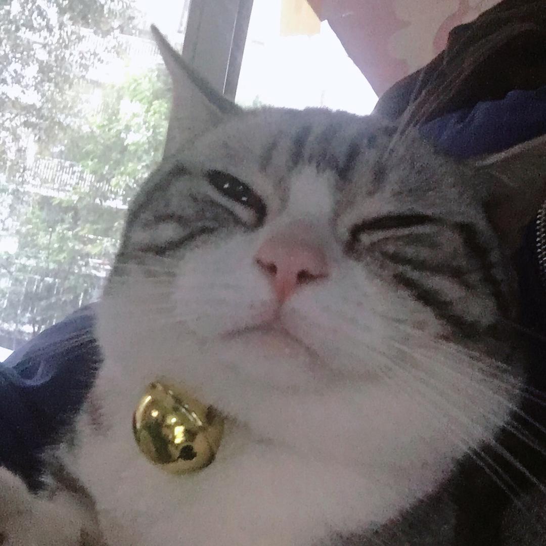 大脑袋瓜子