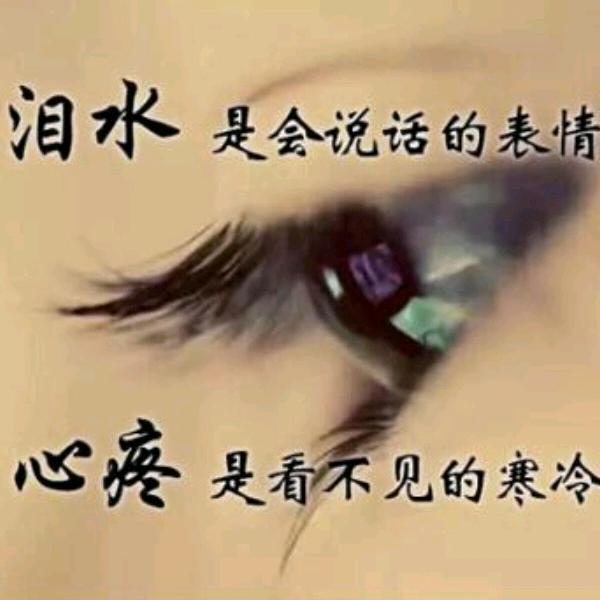 寻觅理想