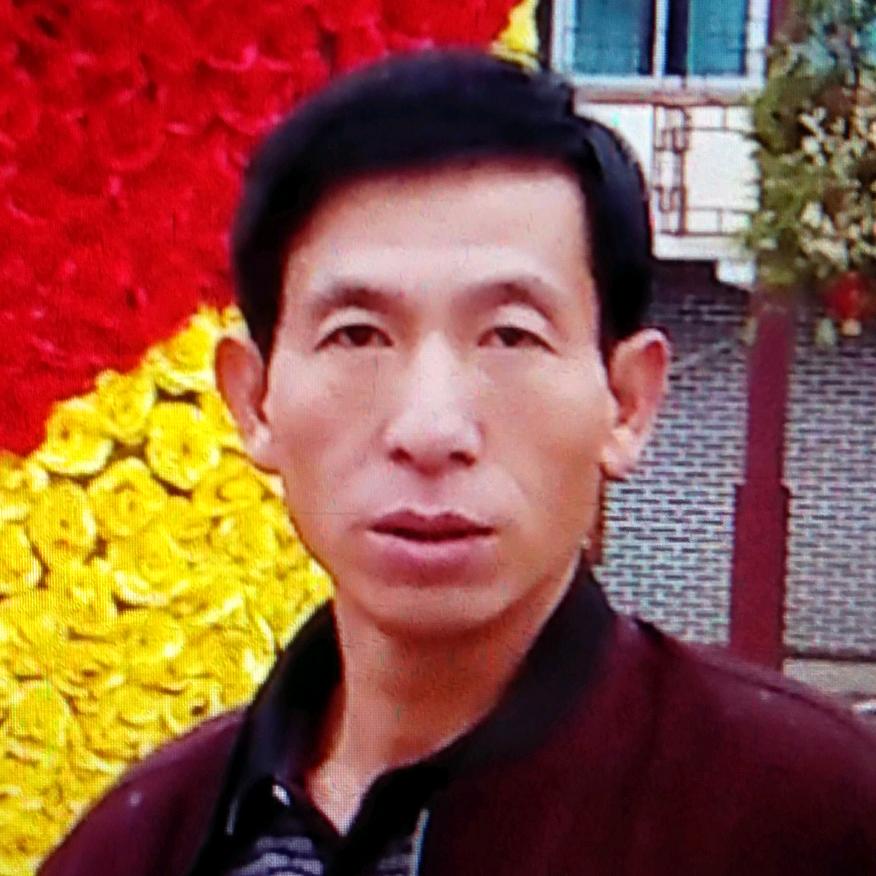 繁花如梦