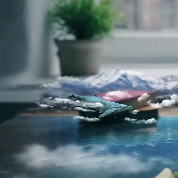 破晓微光🌈
