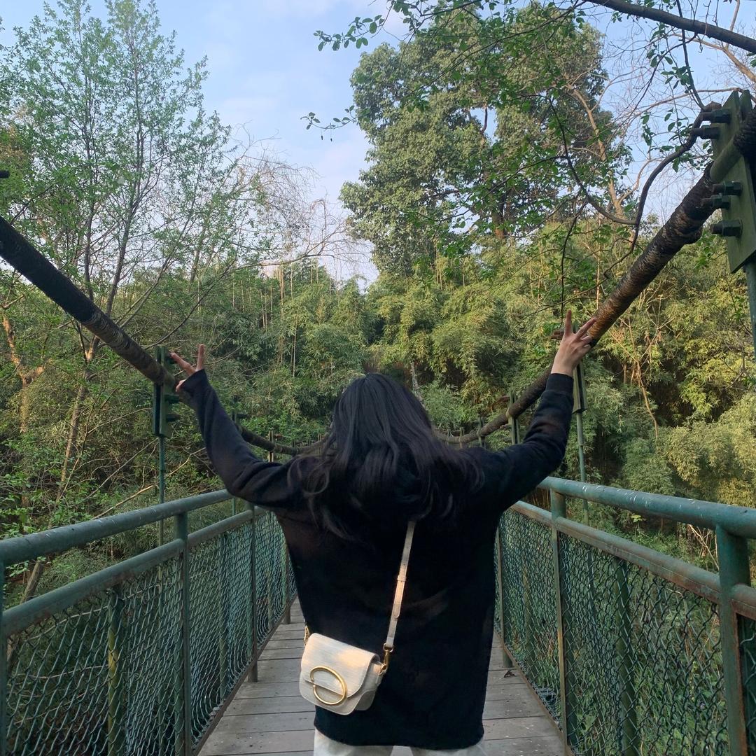 小白龙