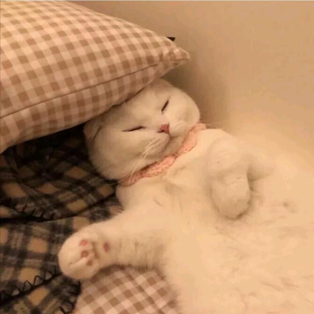 纹叶