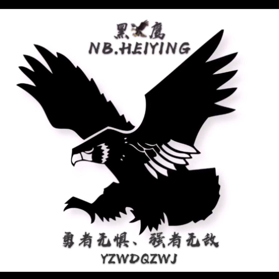 宁波黑鹰🦅【阿杰～哥】e