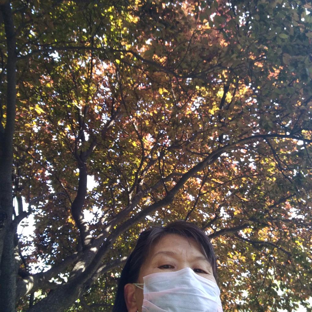 绿色康养