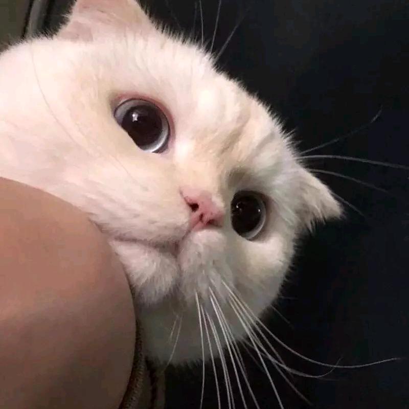 今天也想睡到12点