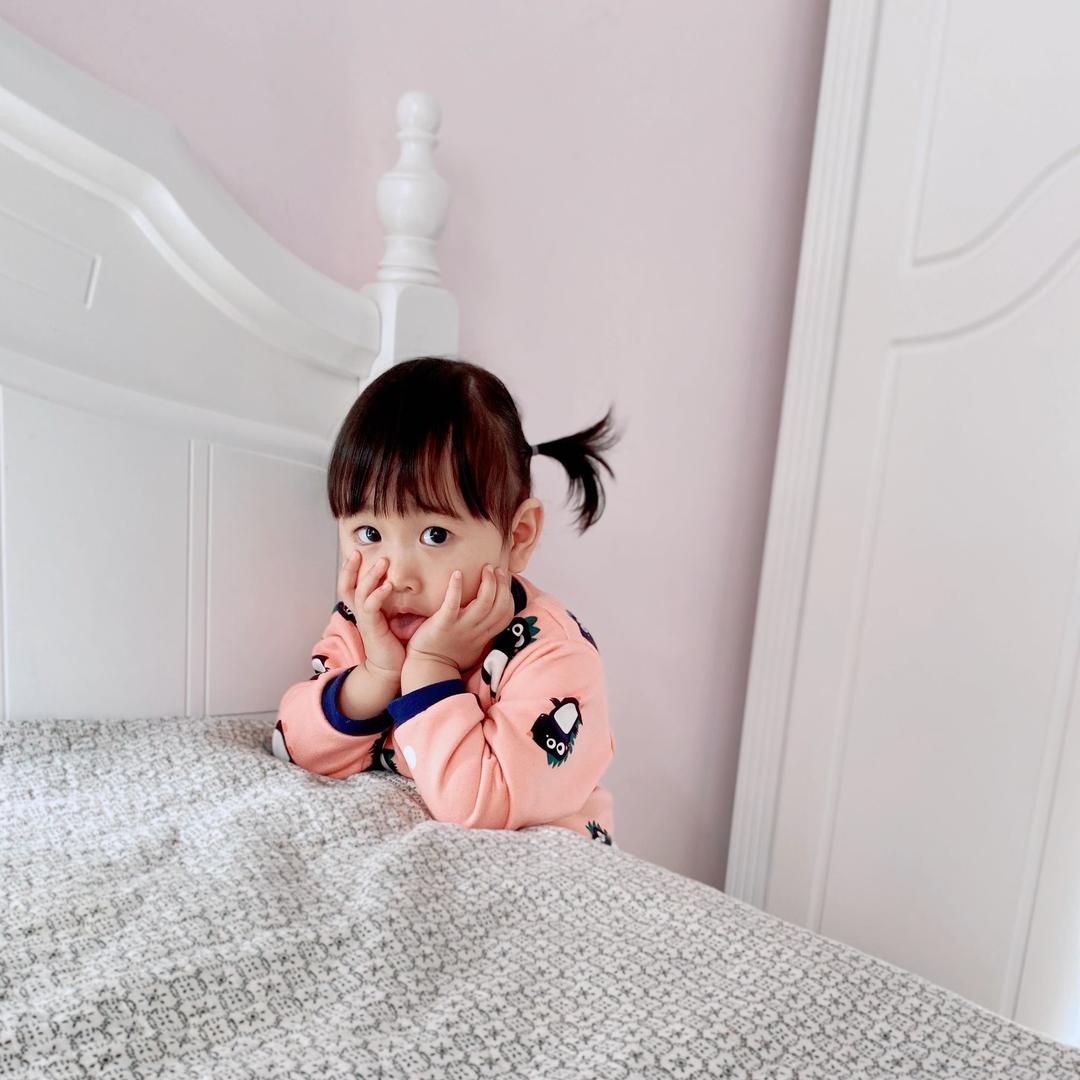 大白兔与小肥猪