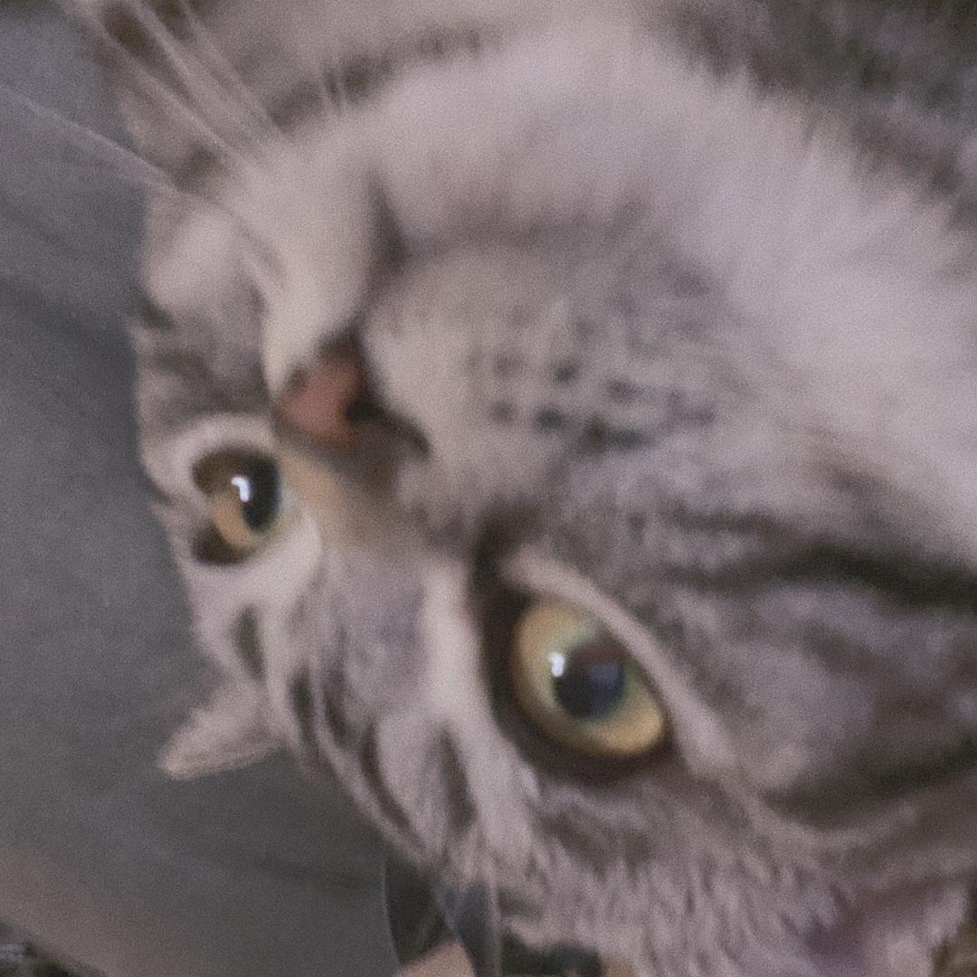 鼻涕大王👑