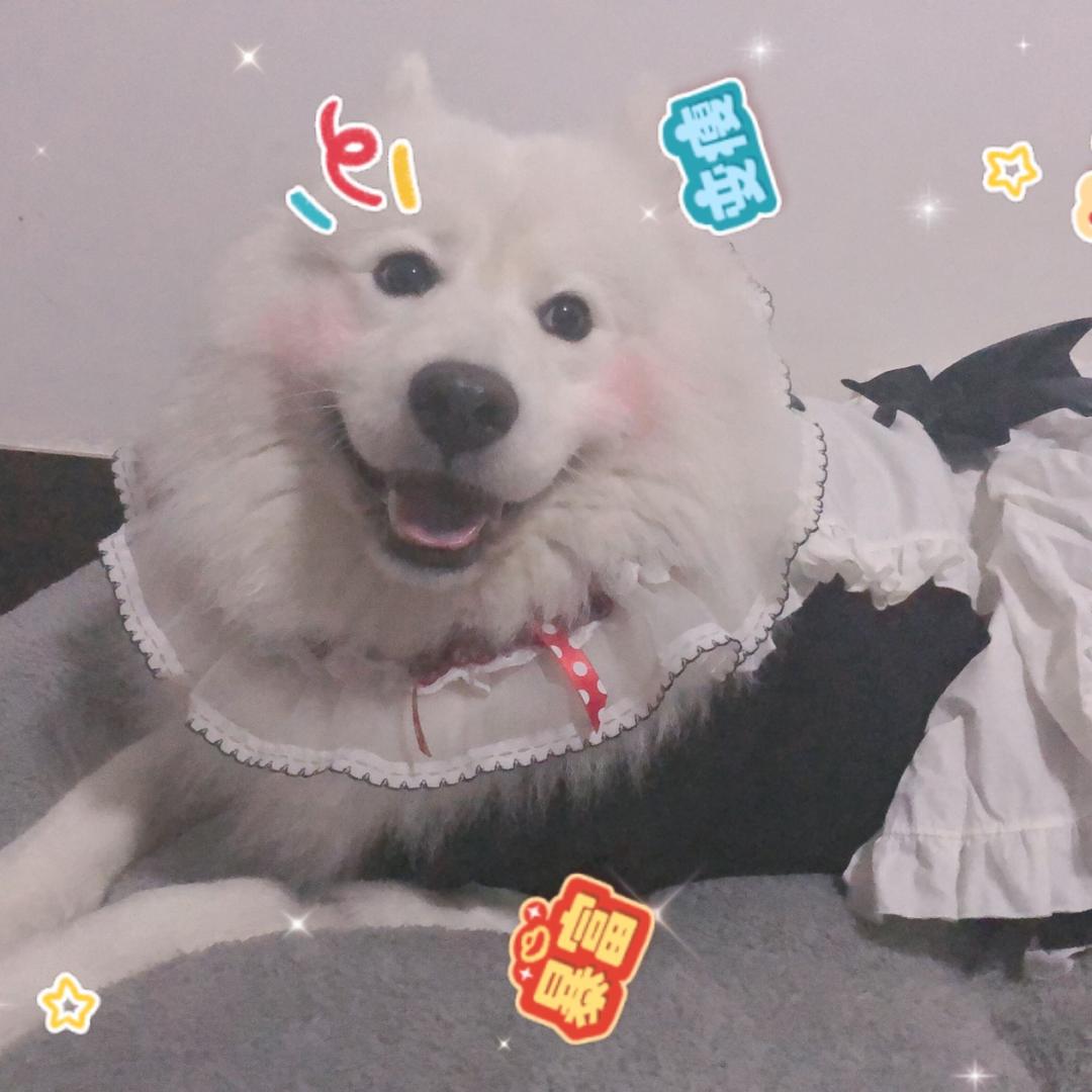 胖墩