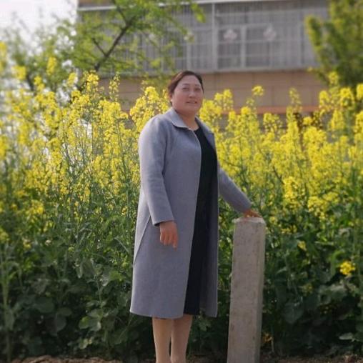 烟花易冷LF