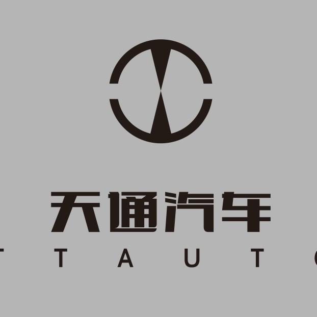 内饰定制（天通）