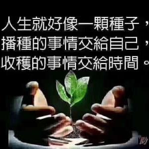 梦幻都市