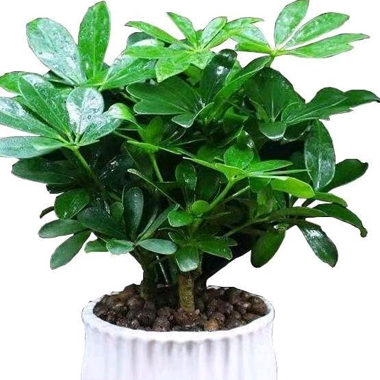 忘记过去🧡ྀི💛ྀི❤️ྀི