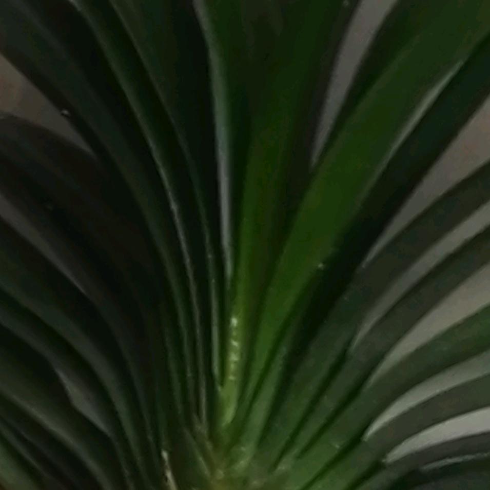 清晨