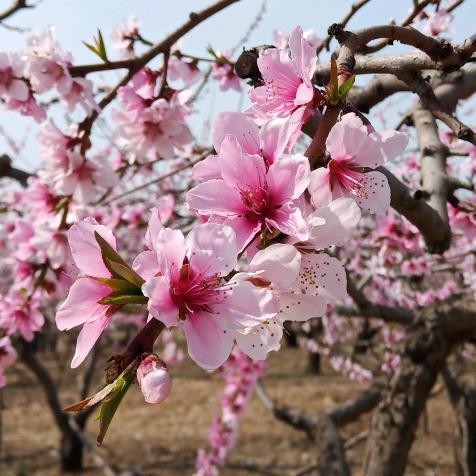不要只认识黑白