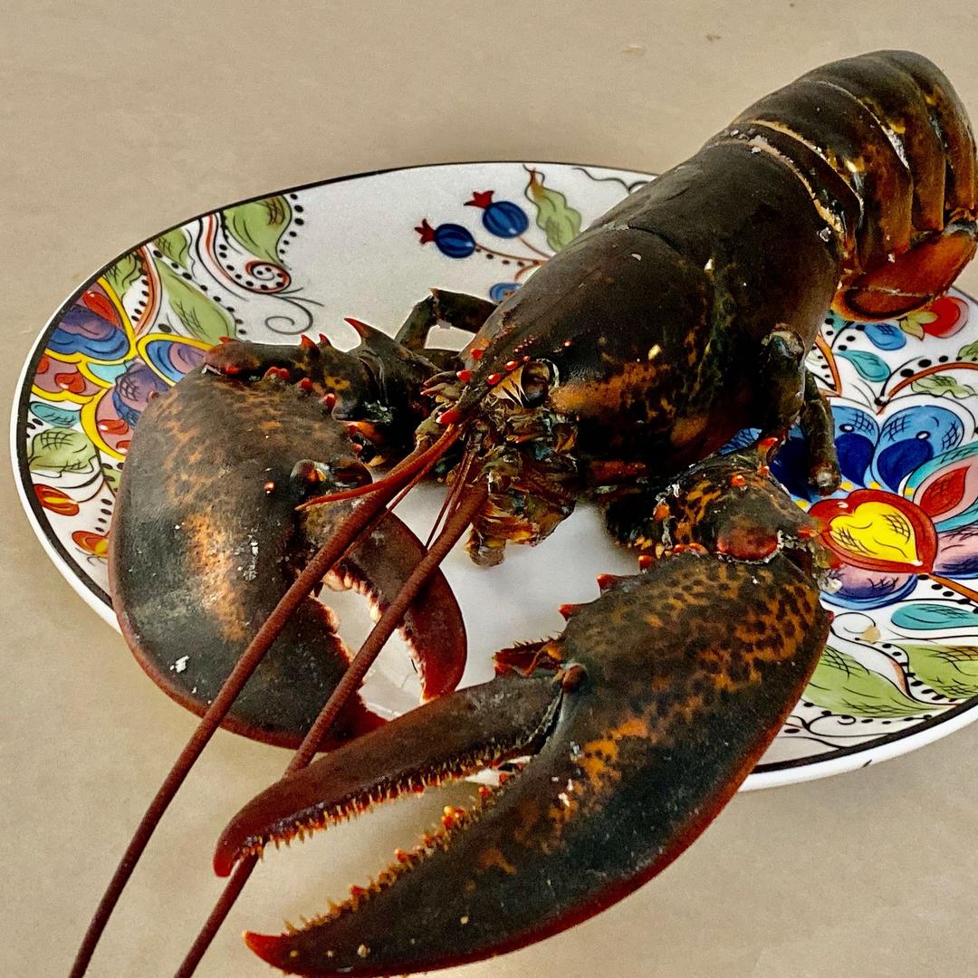 赣马镇小董海鲜经营部二伟海鲜