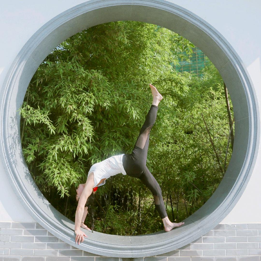 瑜伽、女人和狗（上官紫露）