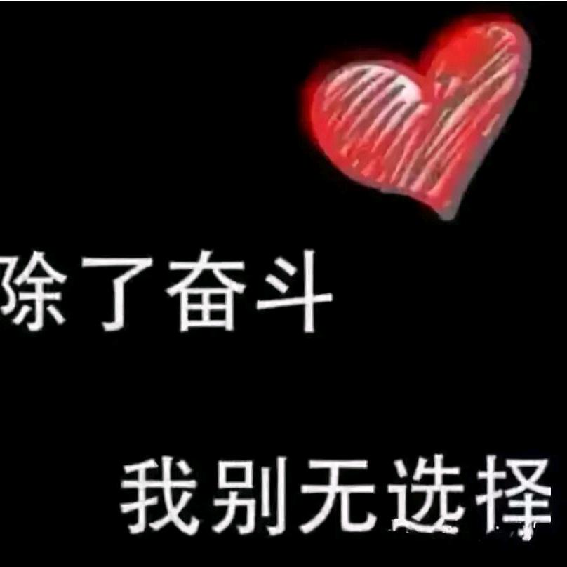 🇨🇳金亿家居定做沙发套