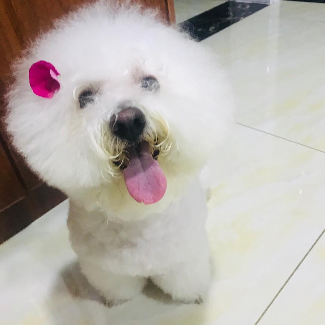 小端午