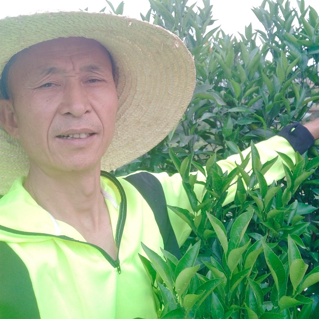 柑橘哥