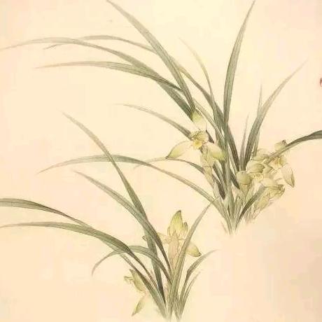 雅兰