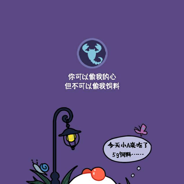 金禅