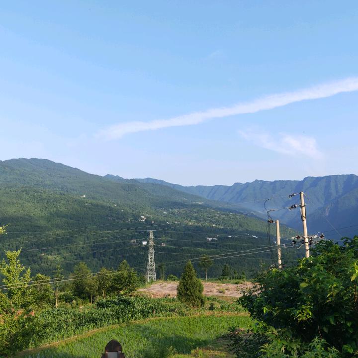 我是一只蝴蝶