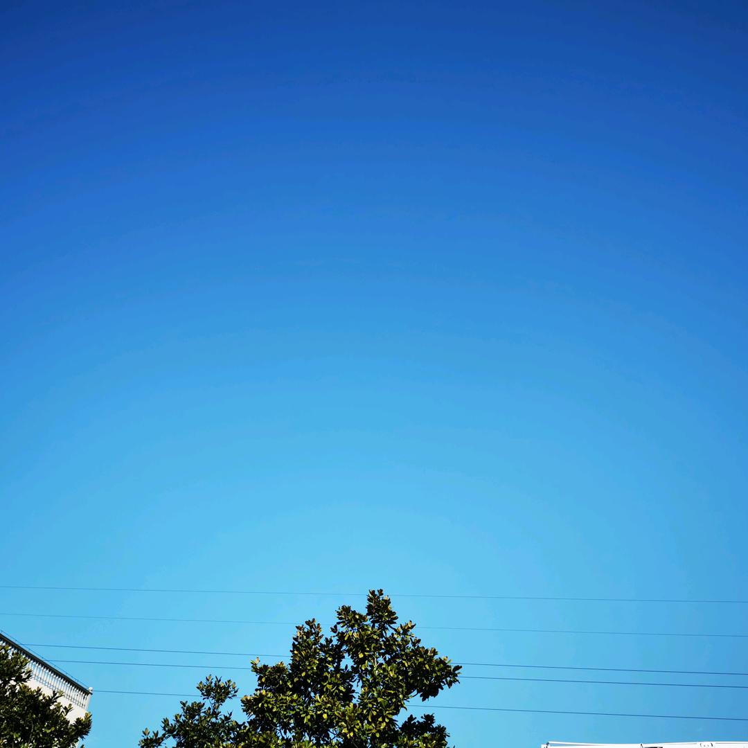 上帝的苹果