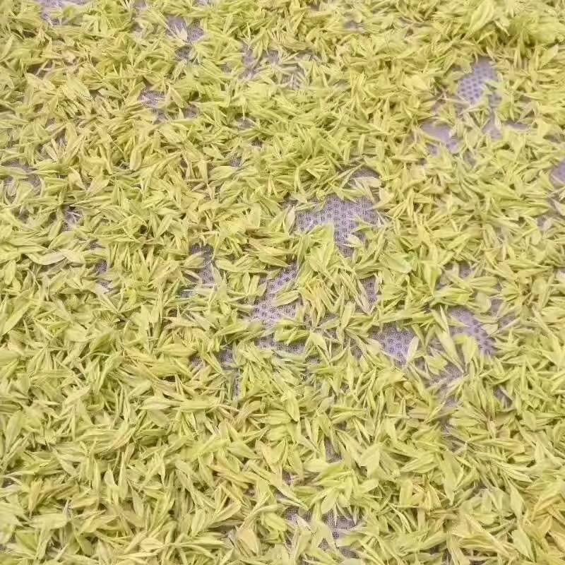 意源名茶