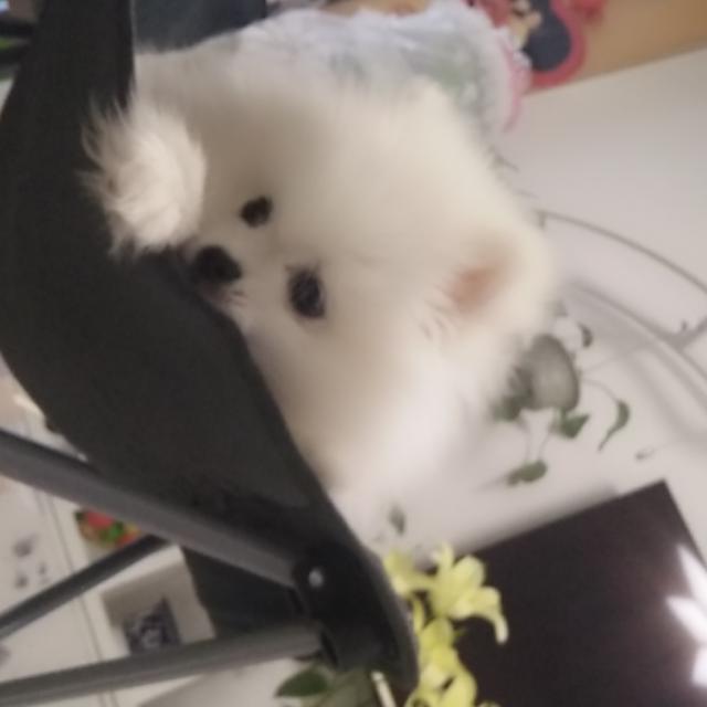 守夜人