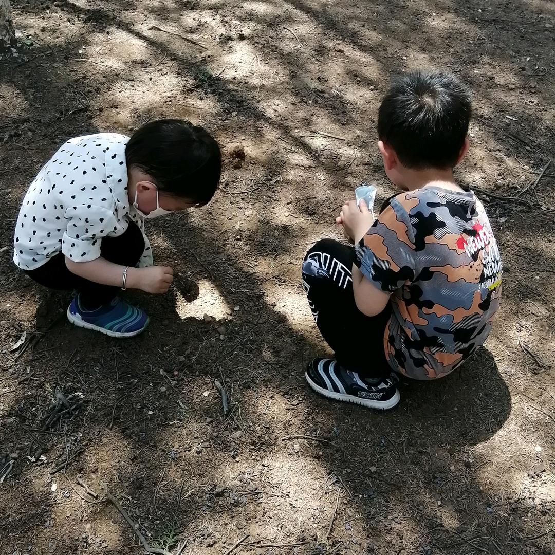 河头心连心鼓乐队，芳