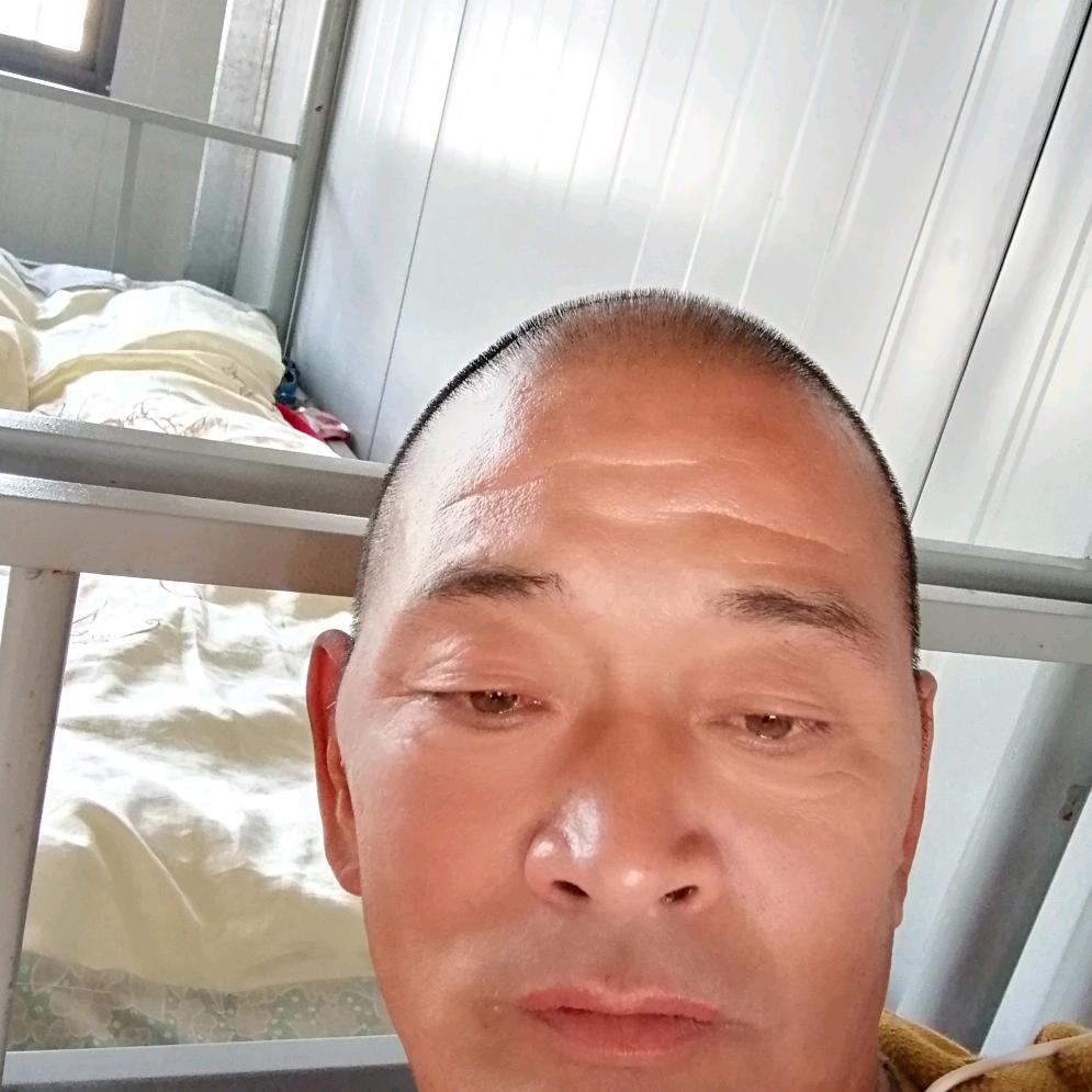 新哥