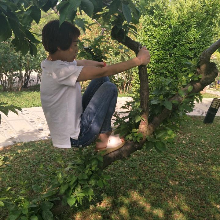 成密辉