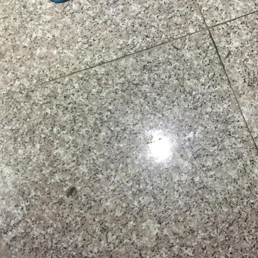 肉汤圆