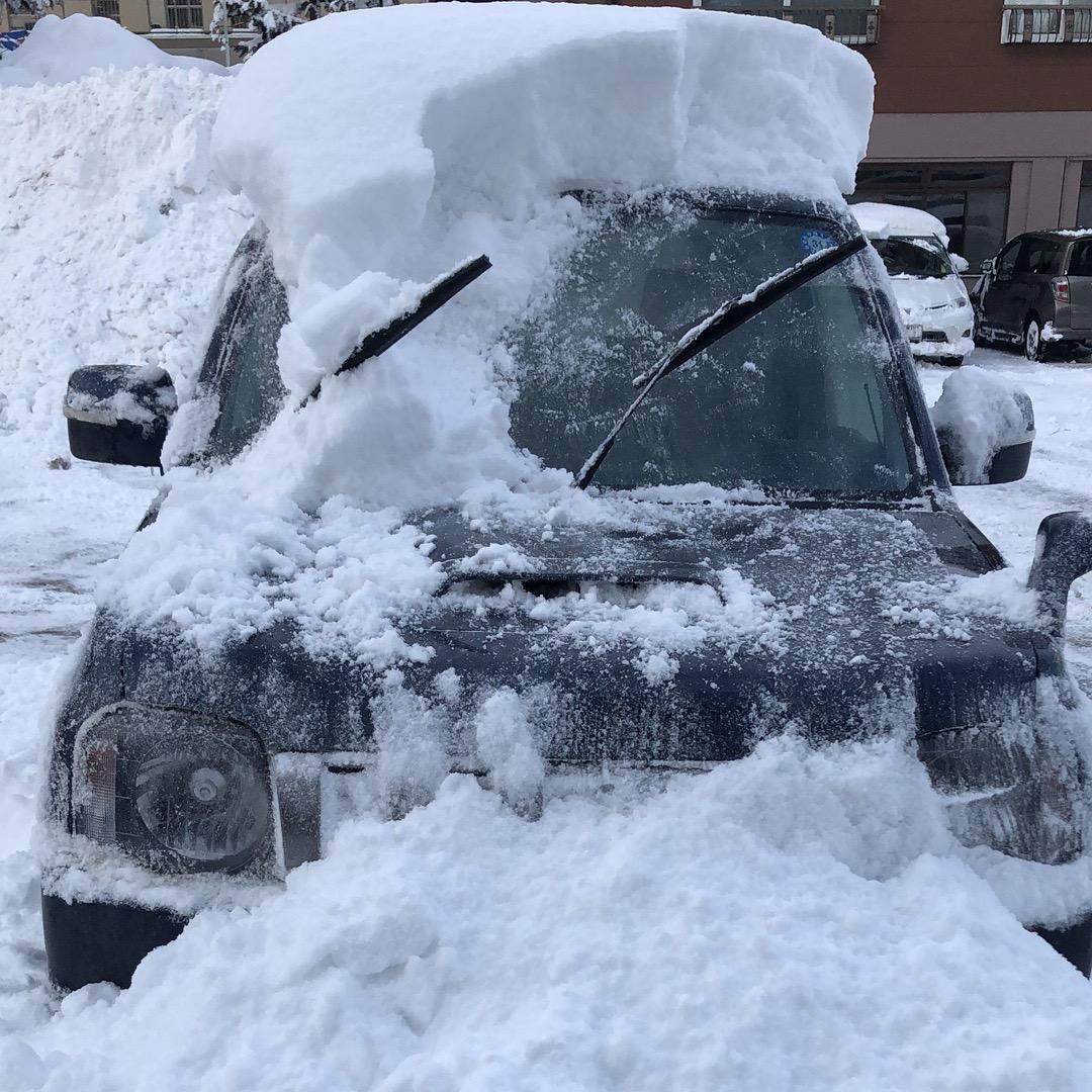 北海道小康@抖音