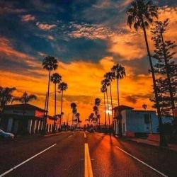曹文