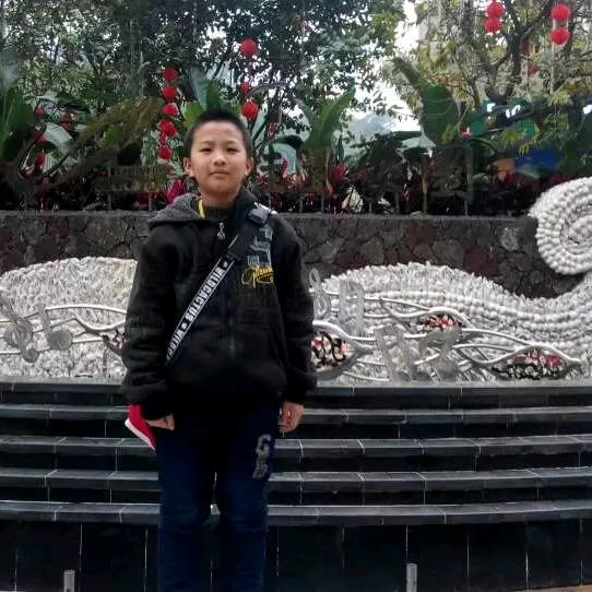 封开专线佛山番禺