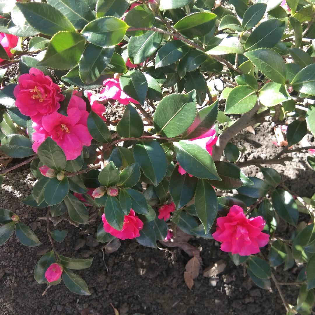 丽姐:(ง •̀_•́)ง