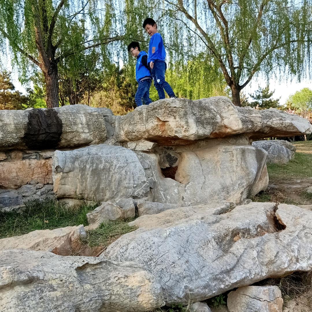 小萌宝