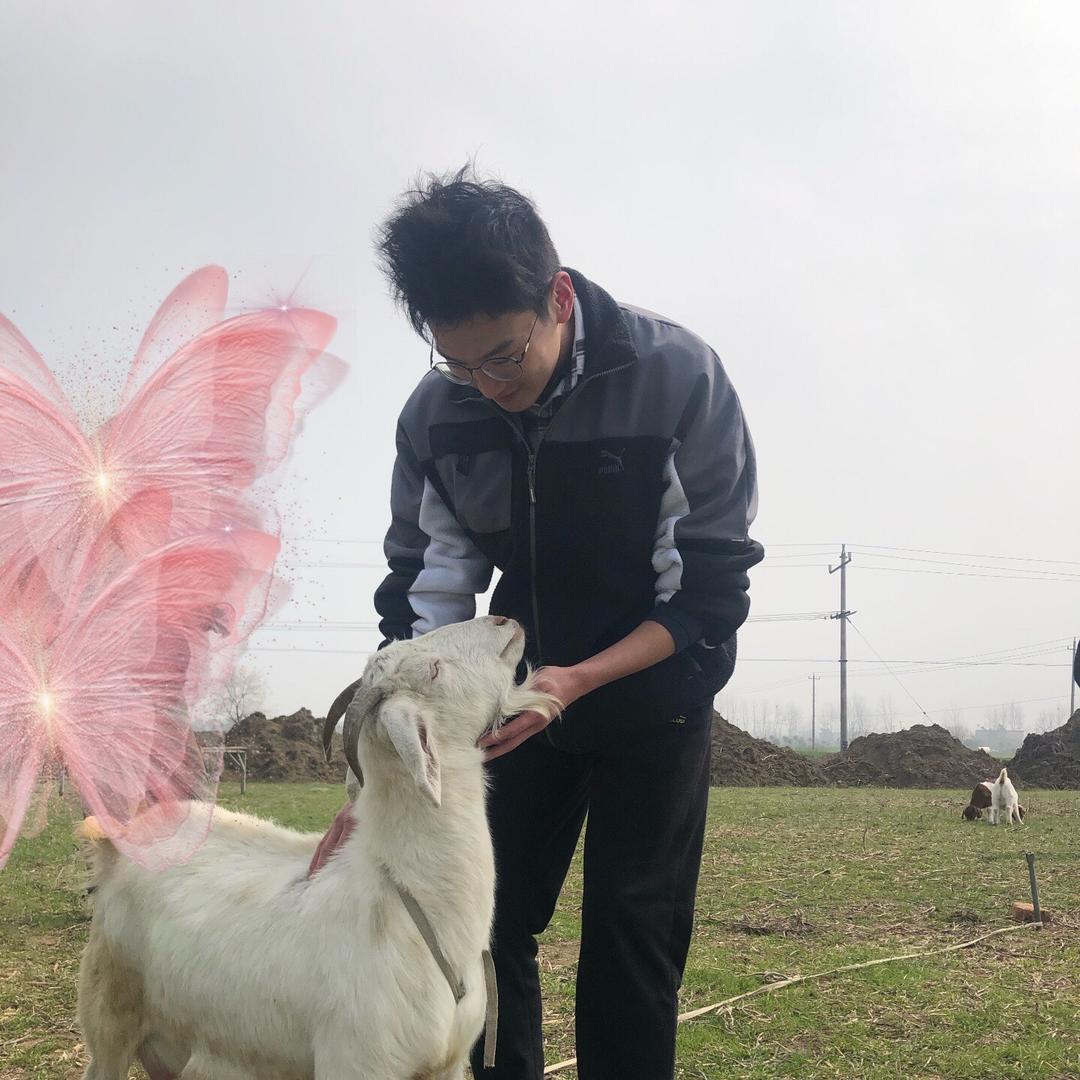 飘