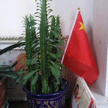 斗你玩儿