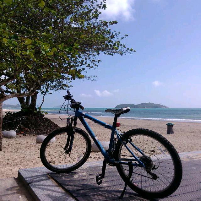 蕭遙山～觀閒雲