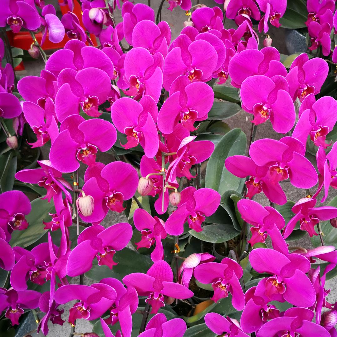 🦋余生～随心【有关必回】