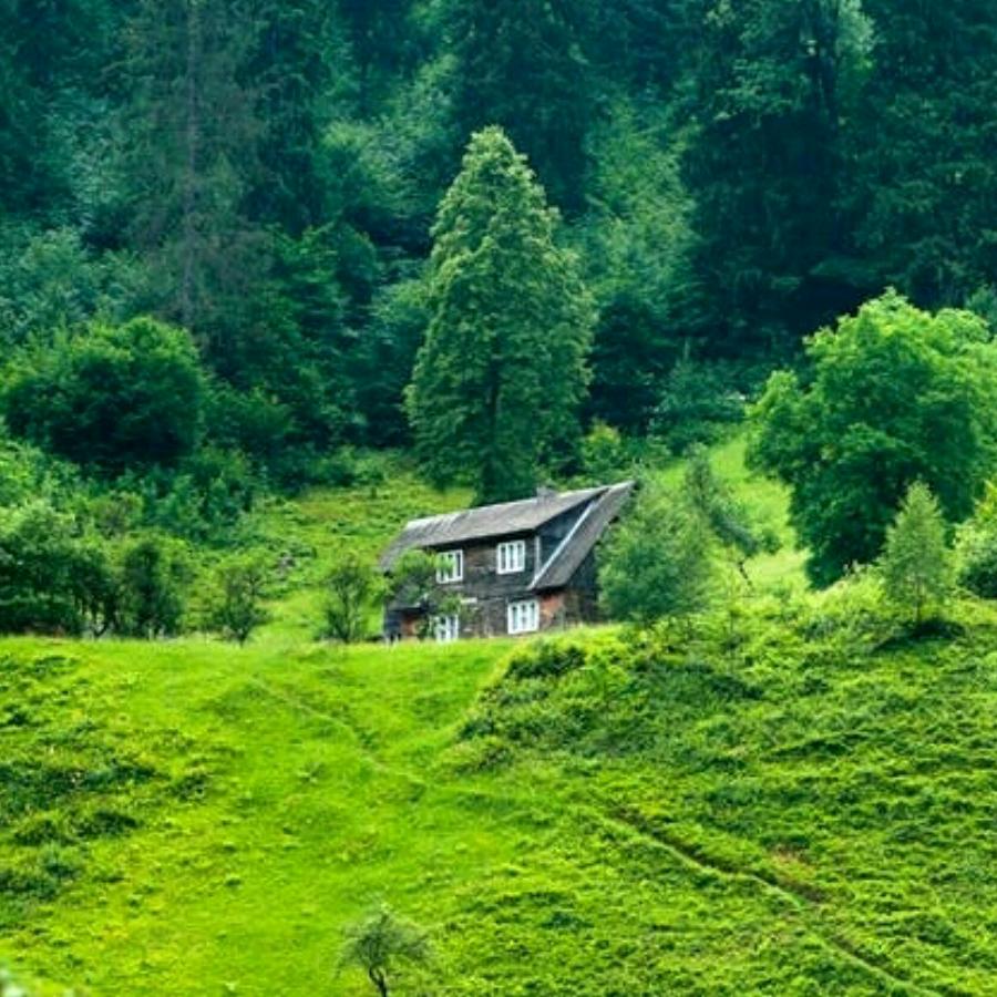 用户5390004557421娜