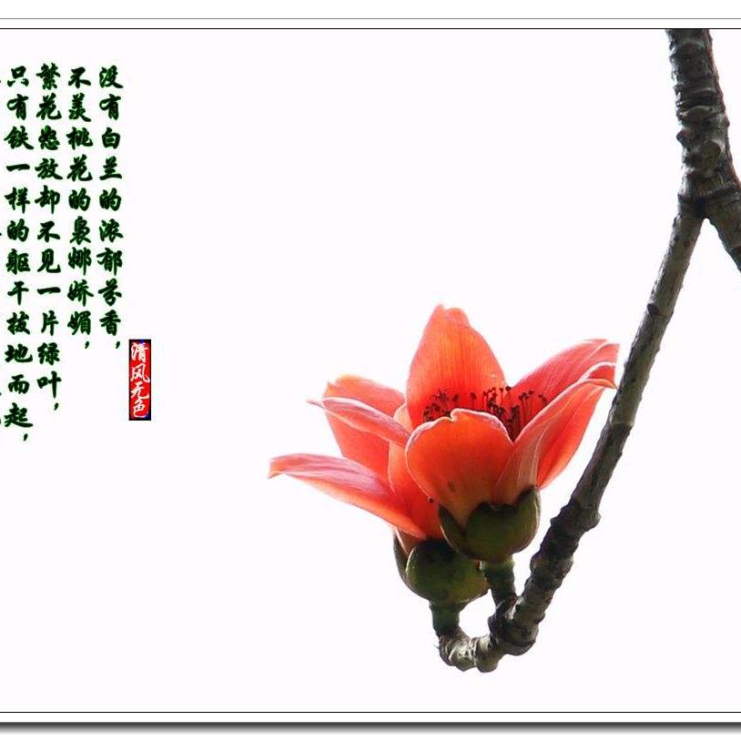 杨阳童鞋