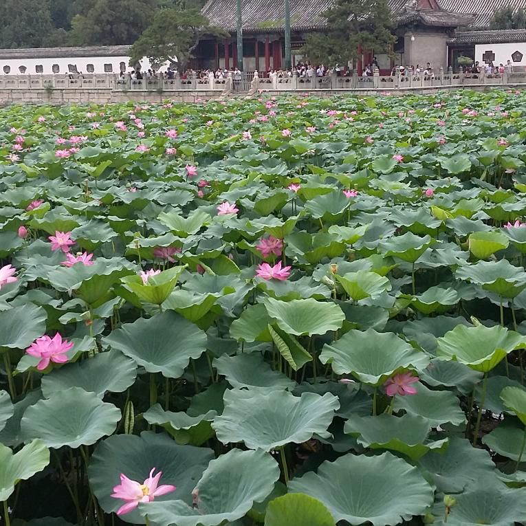 湘江