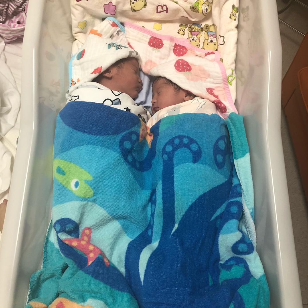 平平安安(龙凤胎)