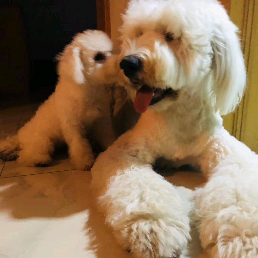 阿瑞！！！