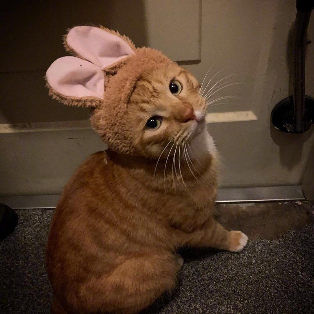 出门左拐一直走